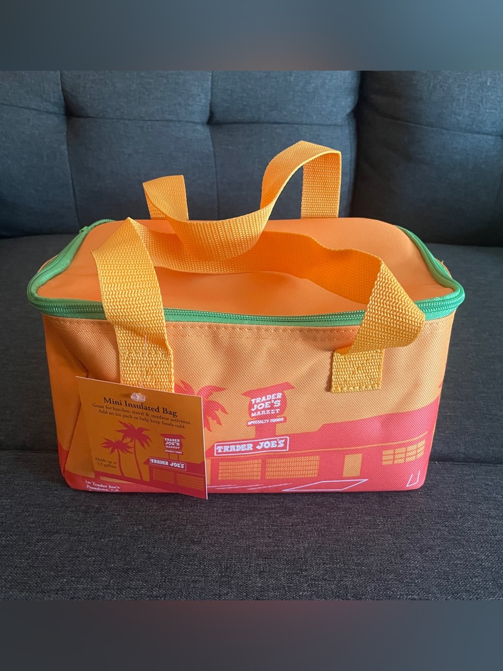 NWT Trader Joe's Mini Insulated Bag in orange and green color